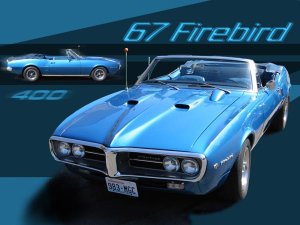 Photo of entry 129