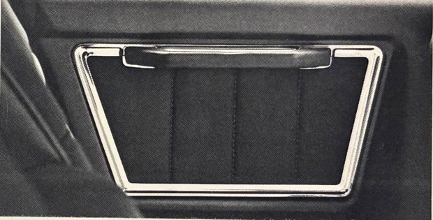 Distinctive Door Panel Treatment